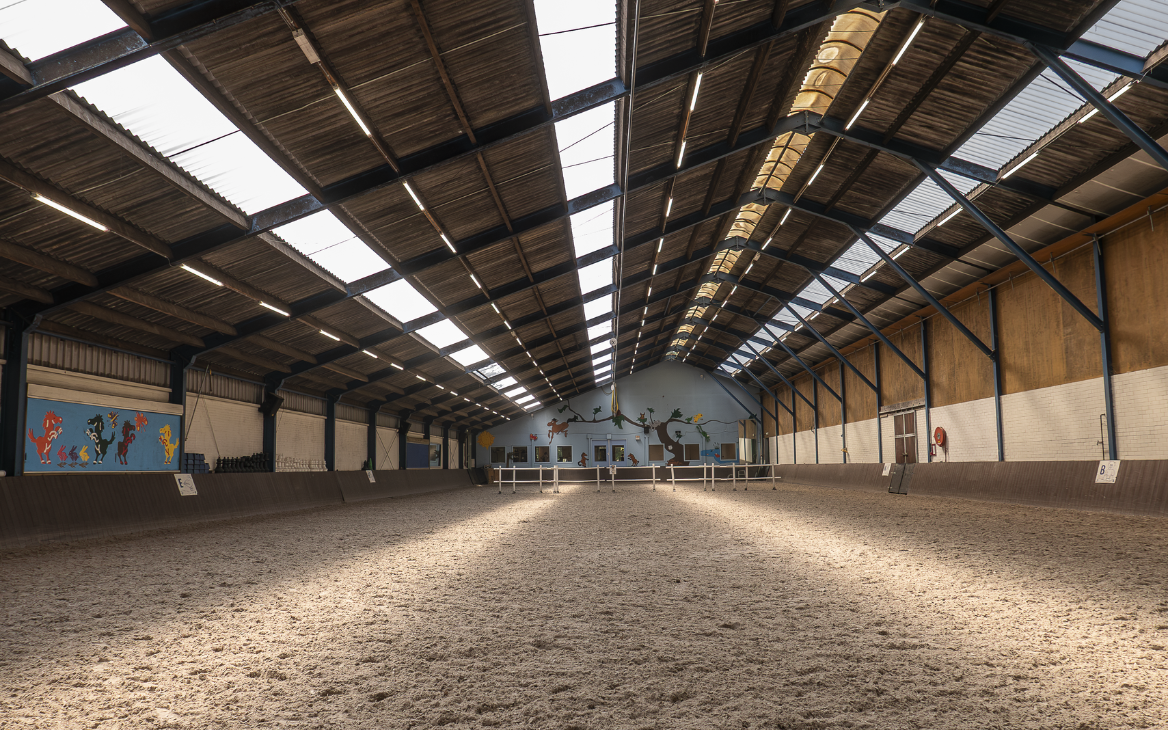 maxima manege led lampen verlichting
