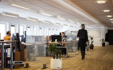 Slimmerookmelder van Nest